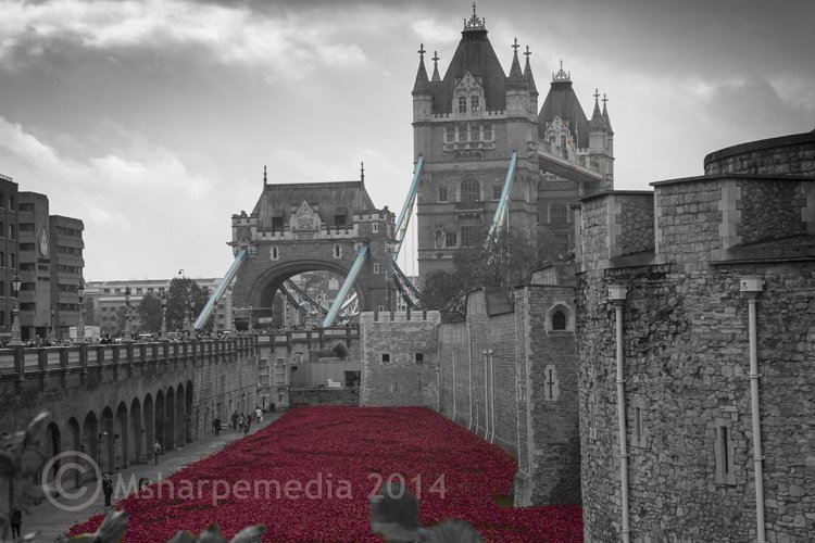 londonpoppies 1